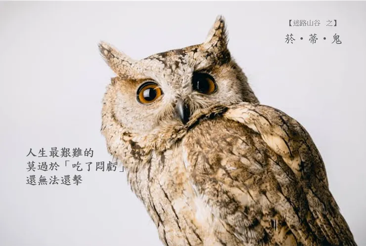 Image by Aa Dil from pexels