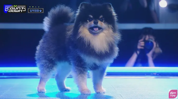 從頭到腳都好可愛❤️❤️❤️