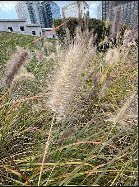 首爾南山白凡廣場