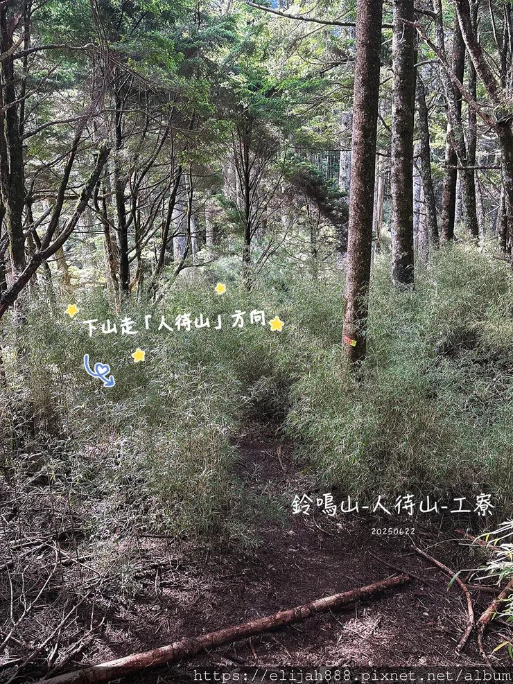 【閂山鈴鳴。兩日50公里百岳行】海拔3272公尺 鈴鳴山-