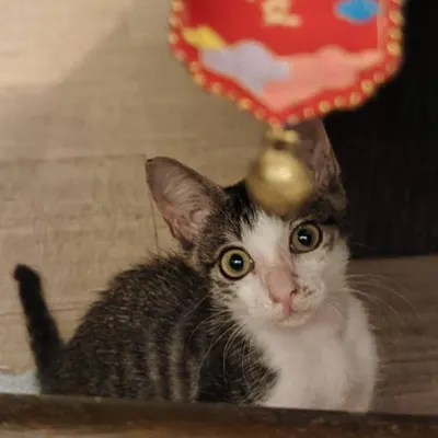 都市更新一點靈的沙龍