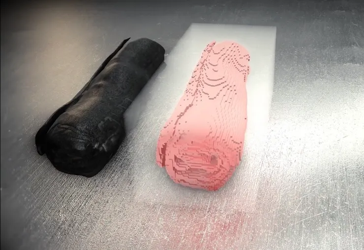 圖片來源：Vesuvius Challenge