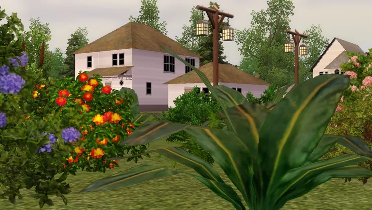 這些花和大葉植物又漂亮又充滿自然氣息。