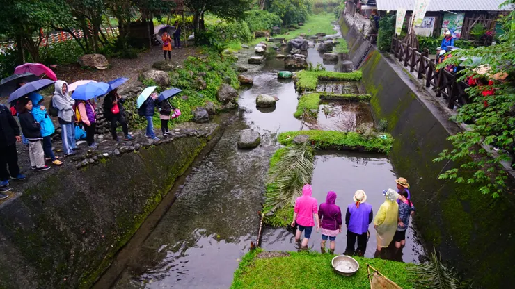 其他的人就站在橋上圍觀