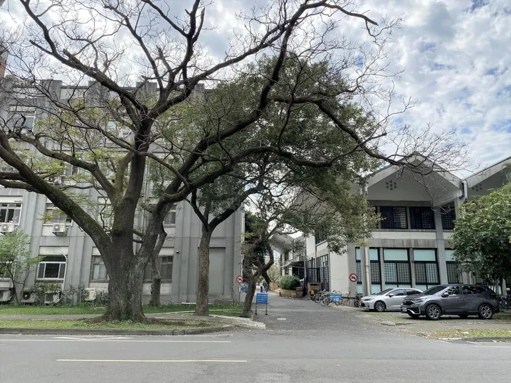 第一學生活動中心（右）與農藝館（左）都使用白色面磚