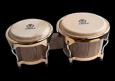 邦哥鼓(Bongos)