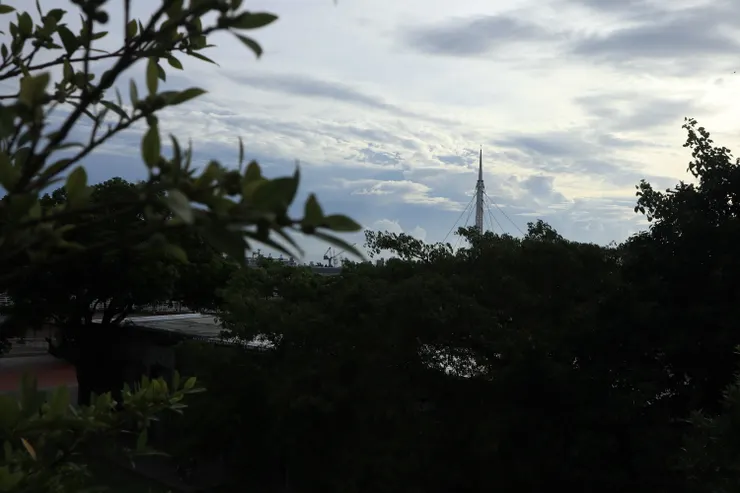 從樹梢上露出的大港橋頂端