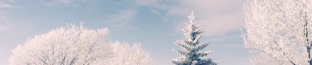 晝書的體制外學習紀錄的沙龍