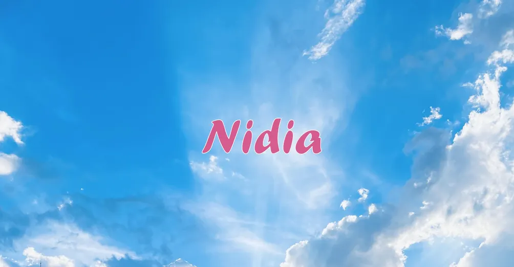 大新星Nidia的沙龍