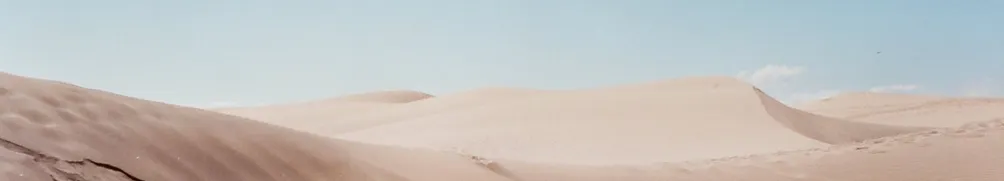 蘇格蘭苦艾酒的沙龍