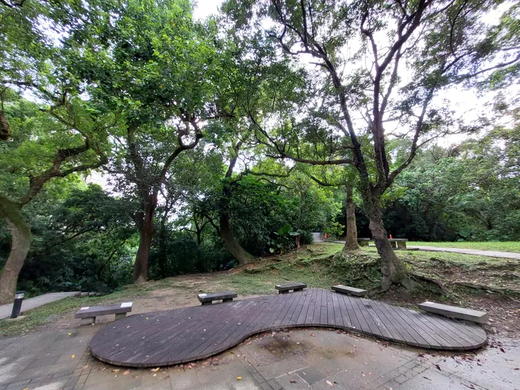 可以在此深吸吐納，感受樹木散發的聲音及氣味