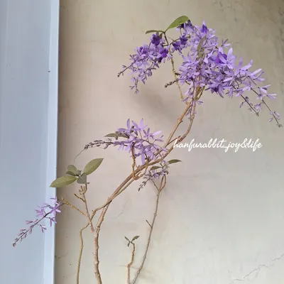 思考新的創作 / 商品 / 服務中~~