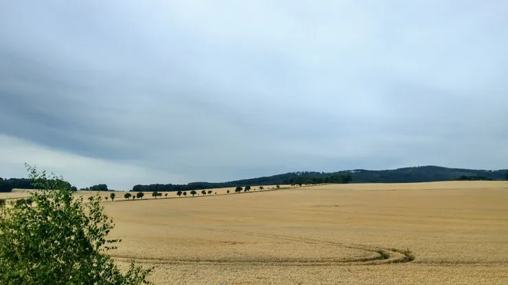 火車上的窗外風景