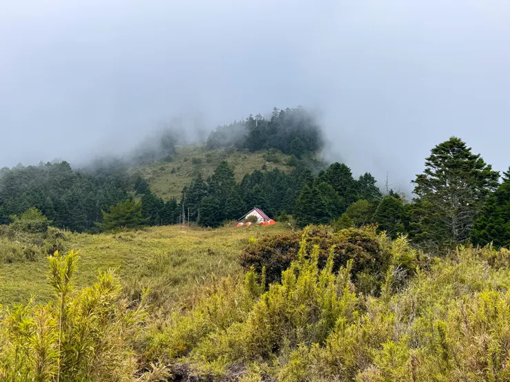 新逹山屋我來了～～～～