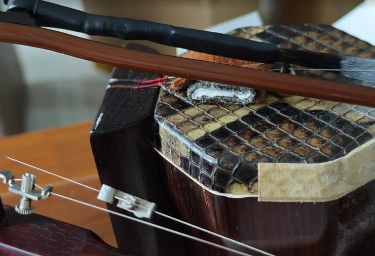 要將二胡放在陽光直射、暖氣旁或汽車後廂，溫差過大會導致木質變形、琴皮鬆緊失衡