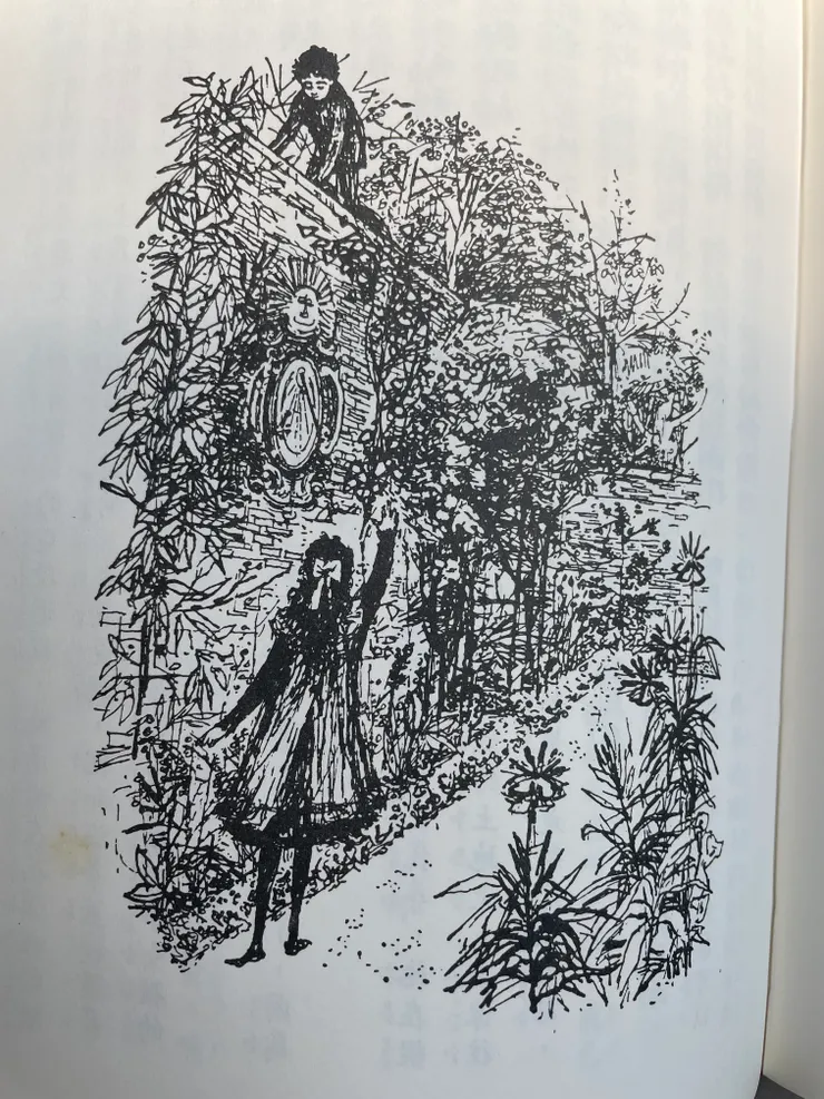 書中的許多插圖，是當時幫作者出版的出版社，幫她找插畫家畫得圖（根據作者給的現實照片所畫）。