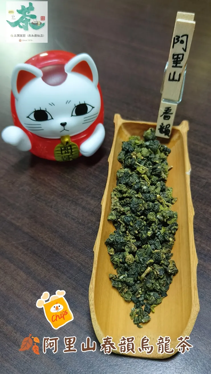 🫎阿里山春韻烏龍茶   ⛰️ 石棹、梅山、頂湖