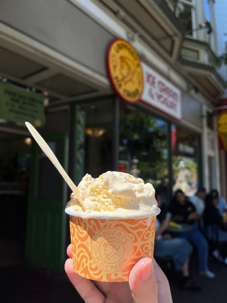 萊姆葡萄冰淇淋