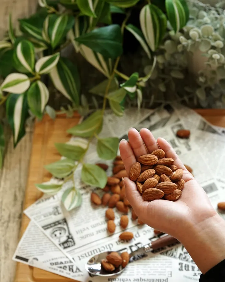 【台北堅果果乾推薦】65度超低溫烘焙│實體店/宅配/超取│原