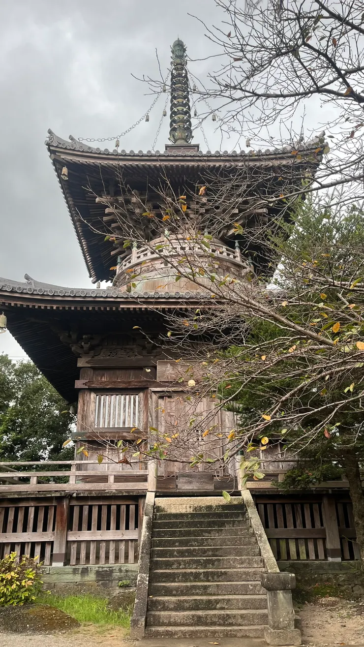 塔內安置的是五智如來。