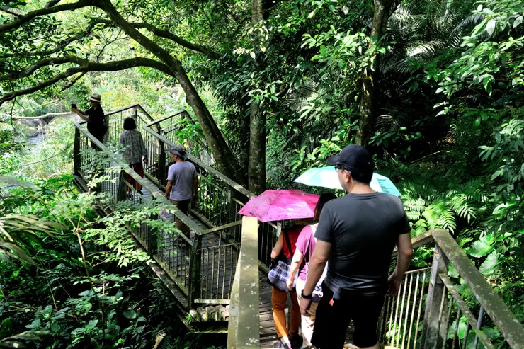 【午餐後到離橄欖樹不遠的四十二份湧泉步道走走】