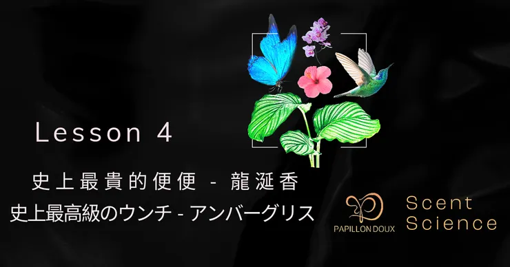 史上最貴的便便 - 龍涎香