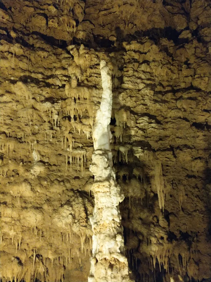 自己取名-一柱擎天!