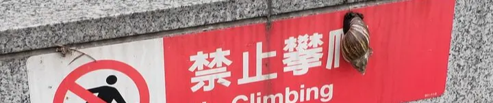 蝸蝸講不聽 [沙箱]