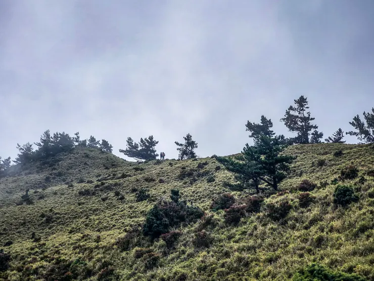 突然妹池旁山坡上傳來Joanne呼喊聲，立刻收好家私出發支援！