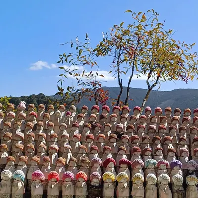 avatar-avatar