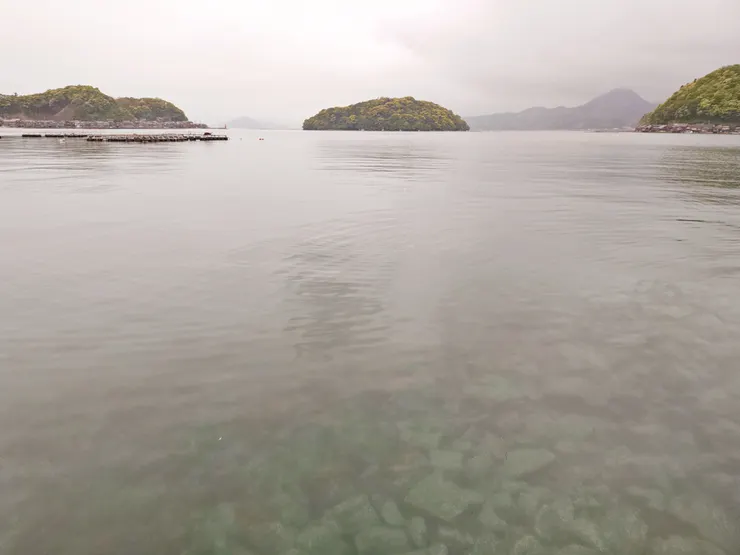 伊根航路乗船場所拍的港灣