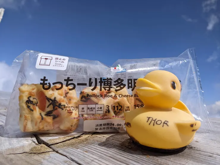 在瀨戶屋吃午餐小歇，座位區有好多鴨鴨好可愛