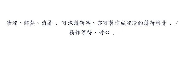 ( 牌卡背面 )