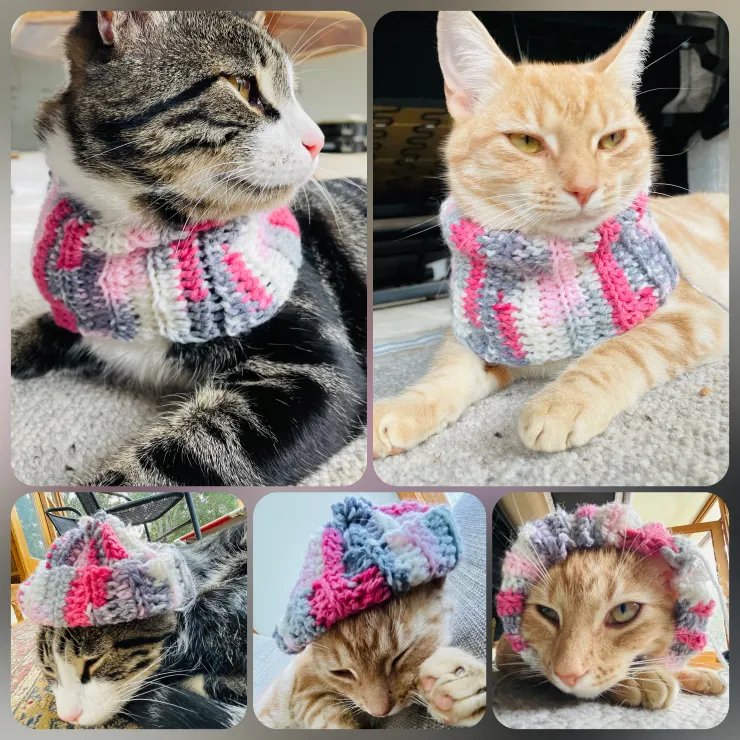 IG影片:穿圍脖的Honey妹