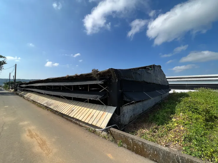 新社盛產香菇～這是香菇的家～菇寮