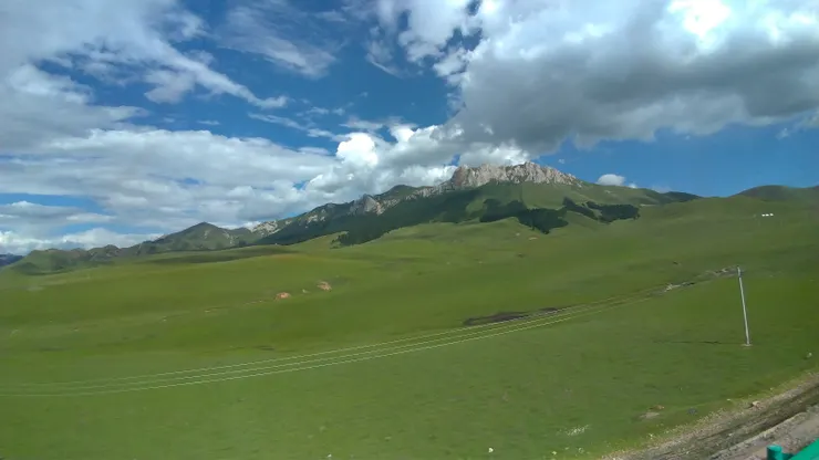 無盡的草原就像綠色的大海