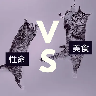 【閒聊】性命vs.美食