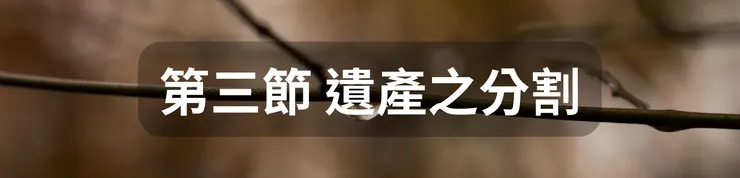 第三節 遺產之分割