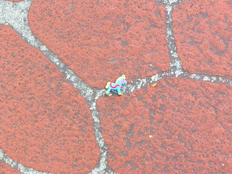 巧遇小馬玩具 / 資料來源：我自己