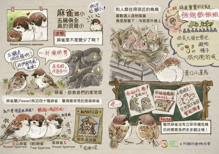 圖片引自阿鏘的動物日常