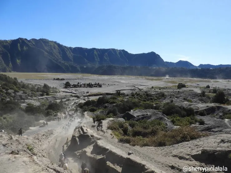 布羅莫火山灰平原
