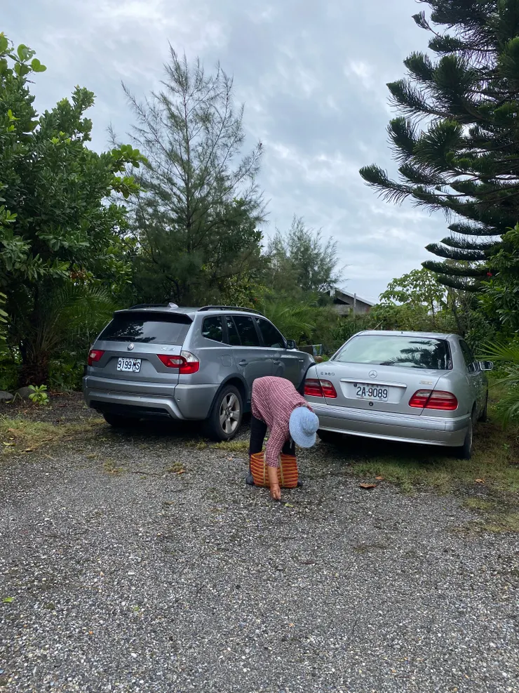 來去海邊停車場採收雨來菇的婦人