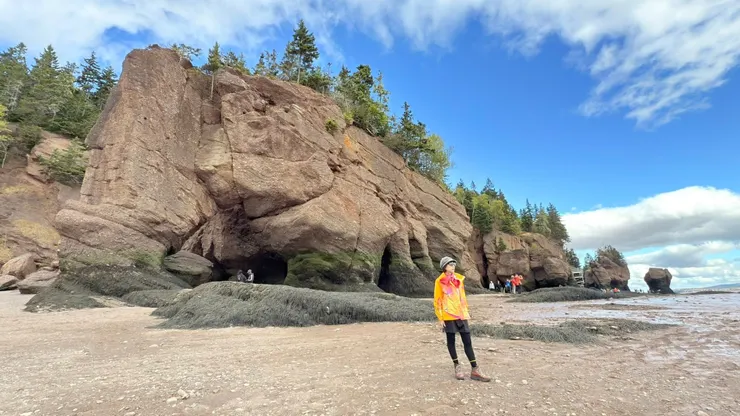 砂岩基岩被雕刻成頂部茂密、 底部狹窄的特殊形狀。