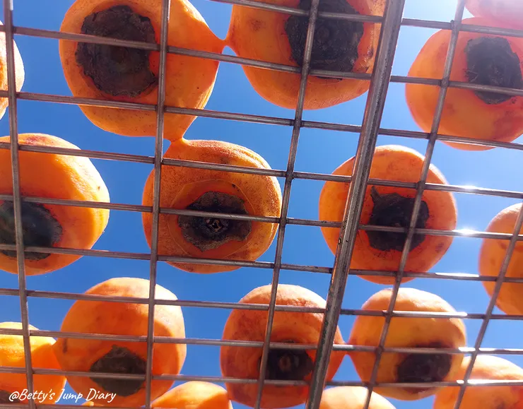 ▲味衛佳柿餅教育農園/ 圖片來源：Betty's Jump Diary