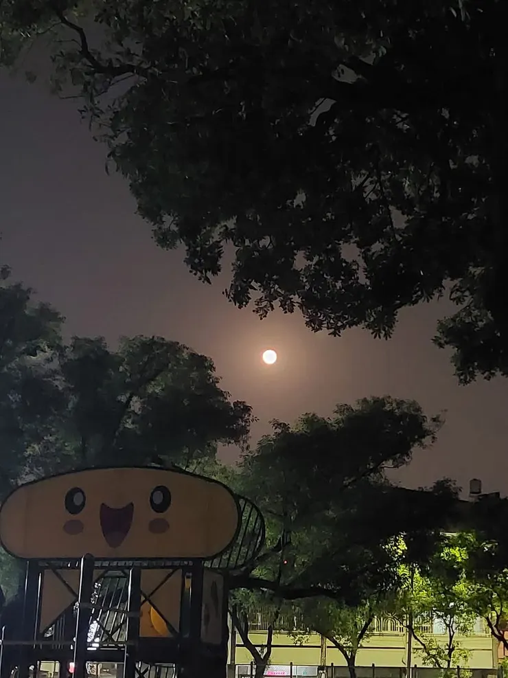 夫妻倆陪囡回國小盪鞦韆的月夜