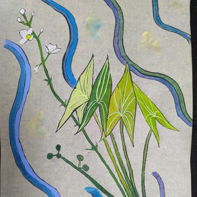 李阿鯽的波奇時間