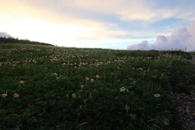 白馬大池附近，夕陽下的稚兒車絮