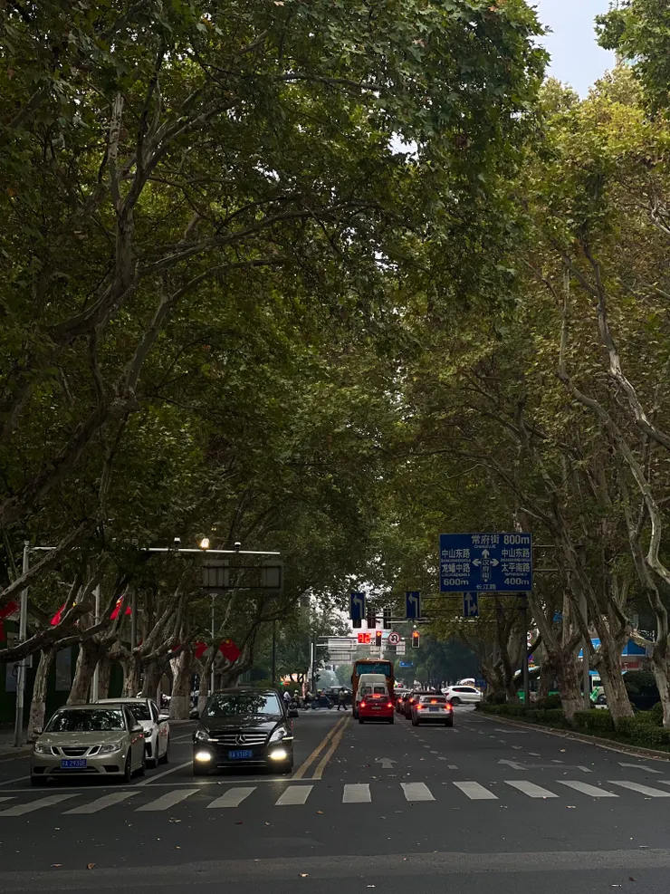 特別是秋天的南京，才是真的南京