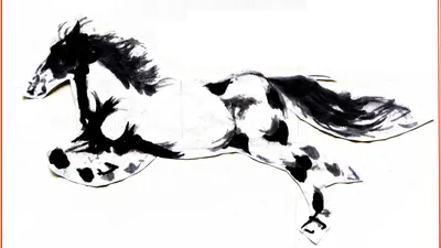 白駒過隙--剪不斷，有得理的歷史風雲