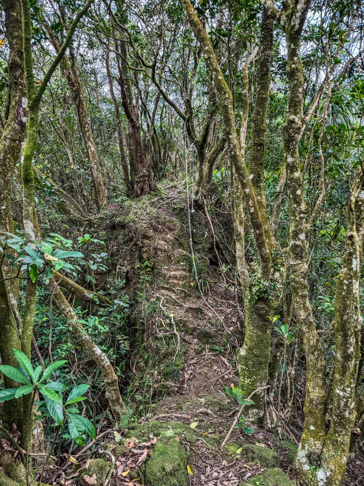 此路線不少拉繩陡上，在稜線上行走微風輕吹超級想睡覺～～